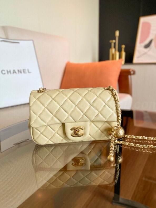 Chanel Handbags 304